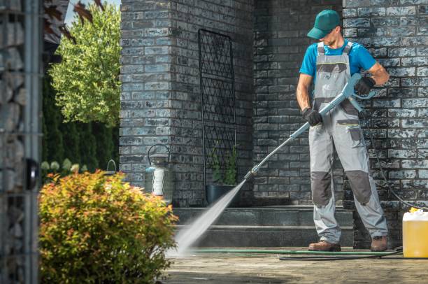 Best Roof Cleaning and Mildew Removal in Canyon, TX